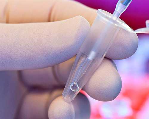 新移民 去香港 工作吗【香港入境处：无需返港，外地香港非永久居民可延期签