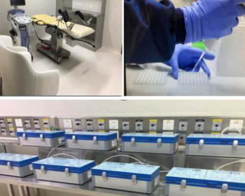 amh值0.32？amh值0.32自然怀孕？