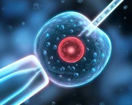 做试管婴儿需要满足什么条件做试管婴儿需要具备什么条件,靠谱代怀