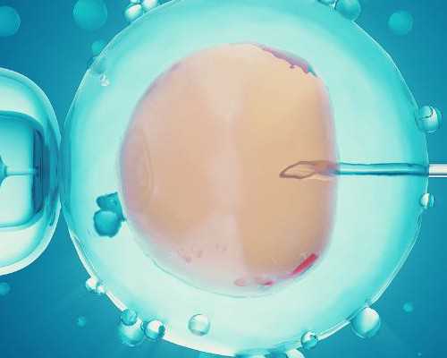 结婚半年了还没怀孕