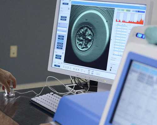 卵泡发育慢影响怀孕吗？~公立助孕机构