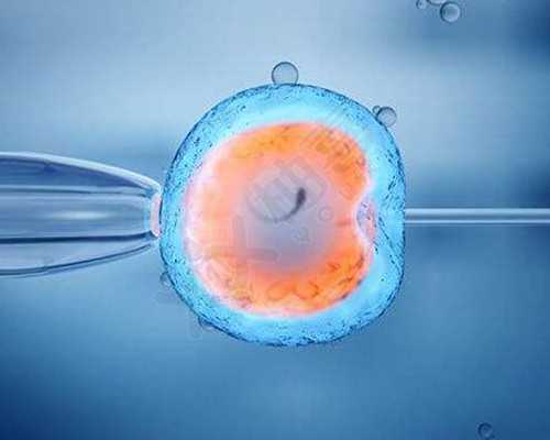 备孕调理汤让你快速怀孕