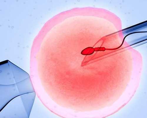 重庆有喜代怀官网 2026年重庆产假最新政策 ‘怀男宝的彩超报告单’